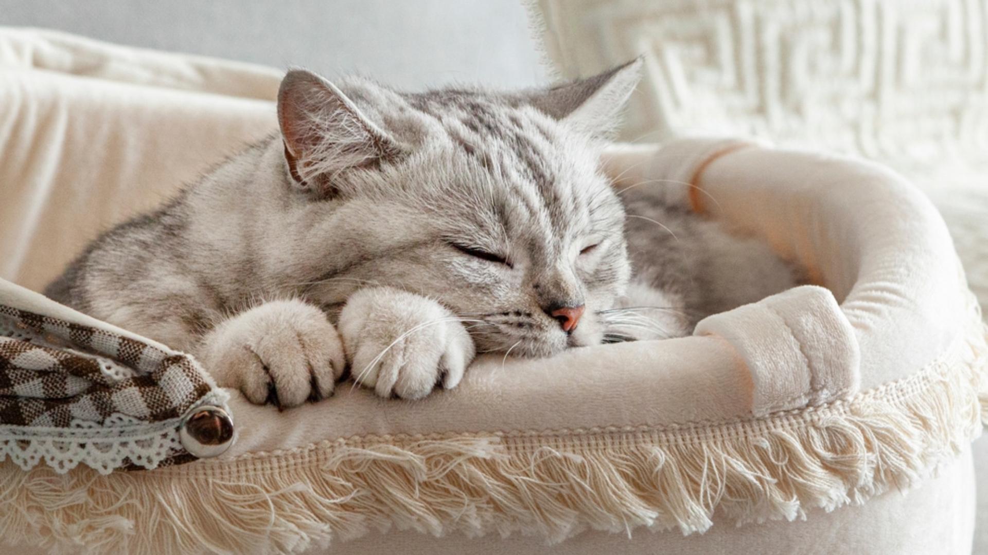 slider image slider_item_1