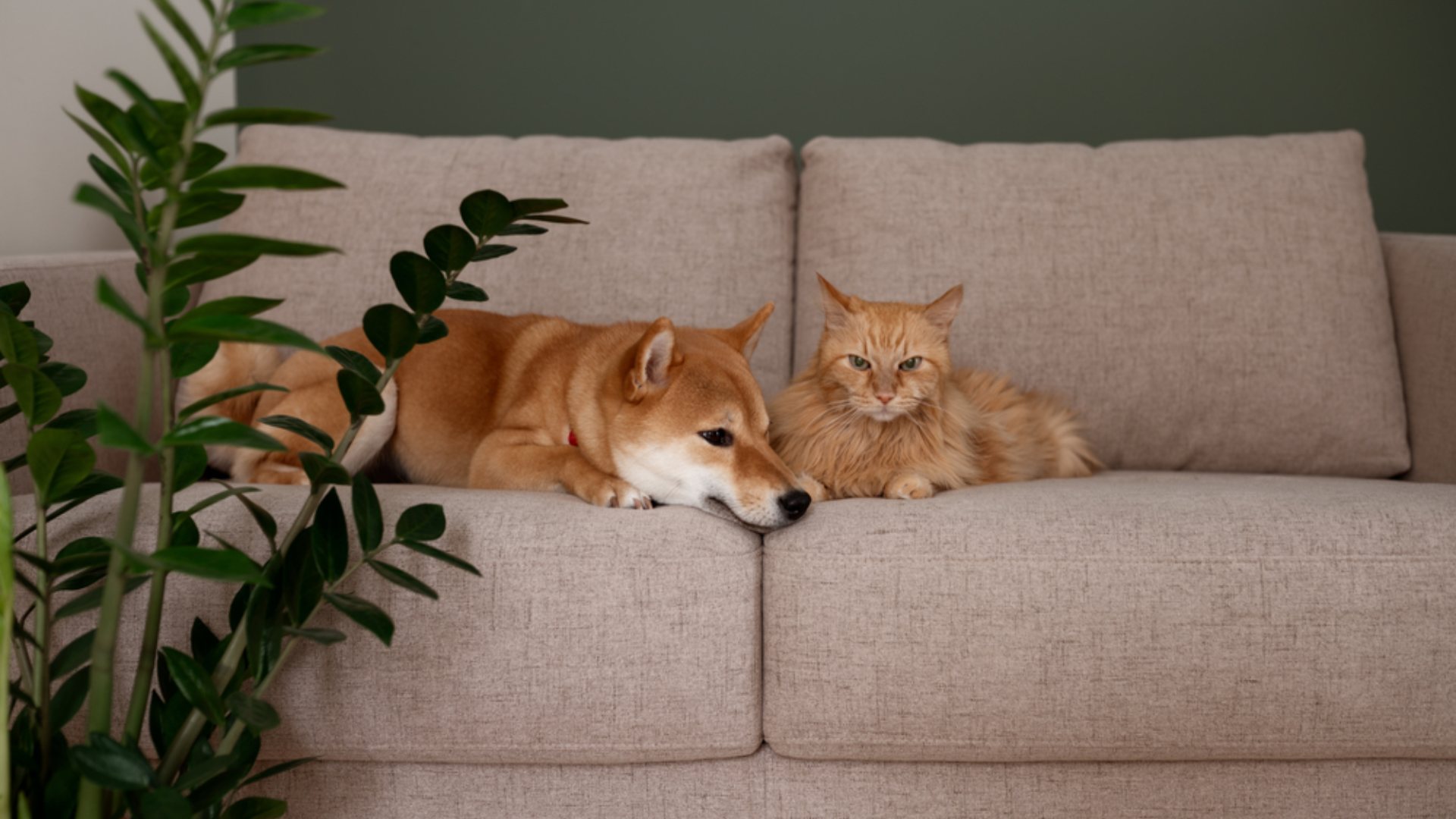 slider image slider_item_3