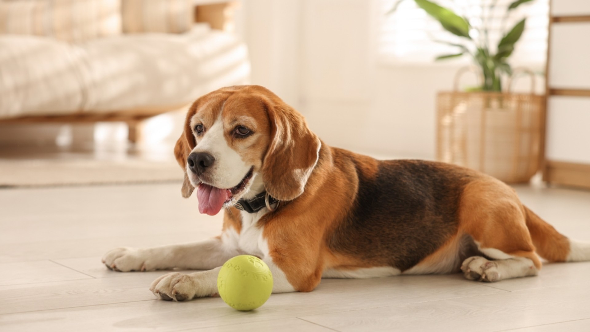 slider image slider_item_2